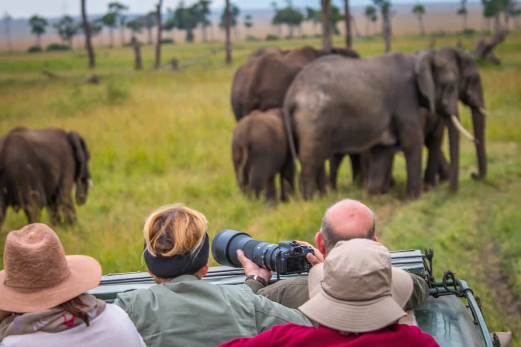 6-day family-friendly safari with educational wildlife experiences
