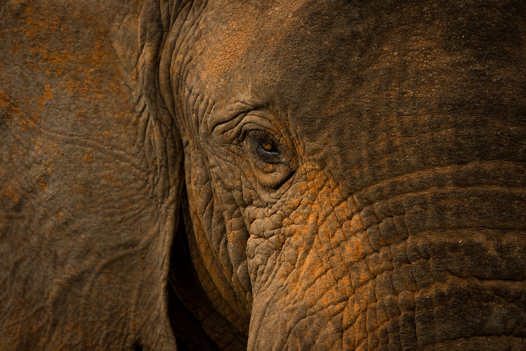 Akagera National Park