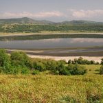 2026 Expert Briefing: Unveiling the Wild Tapestry of Queen Elizabeth National Park