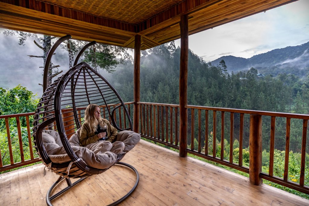 Discerning Paths: A 2026 Luxury Planning Guide for Gorilla Encounters of Uncommon Distinction