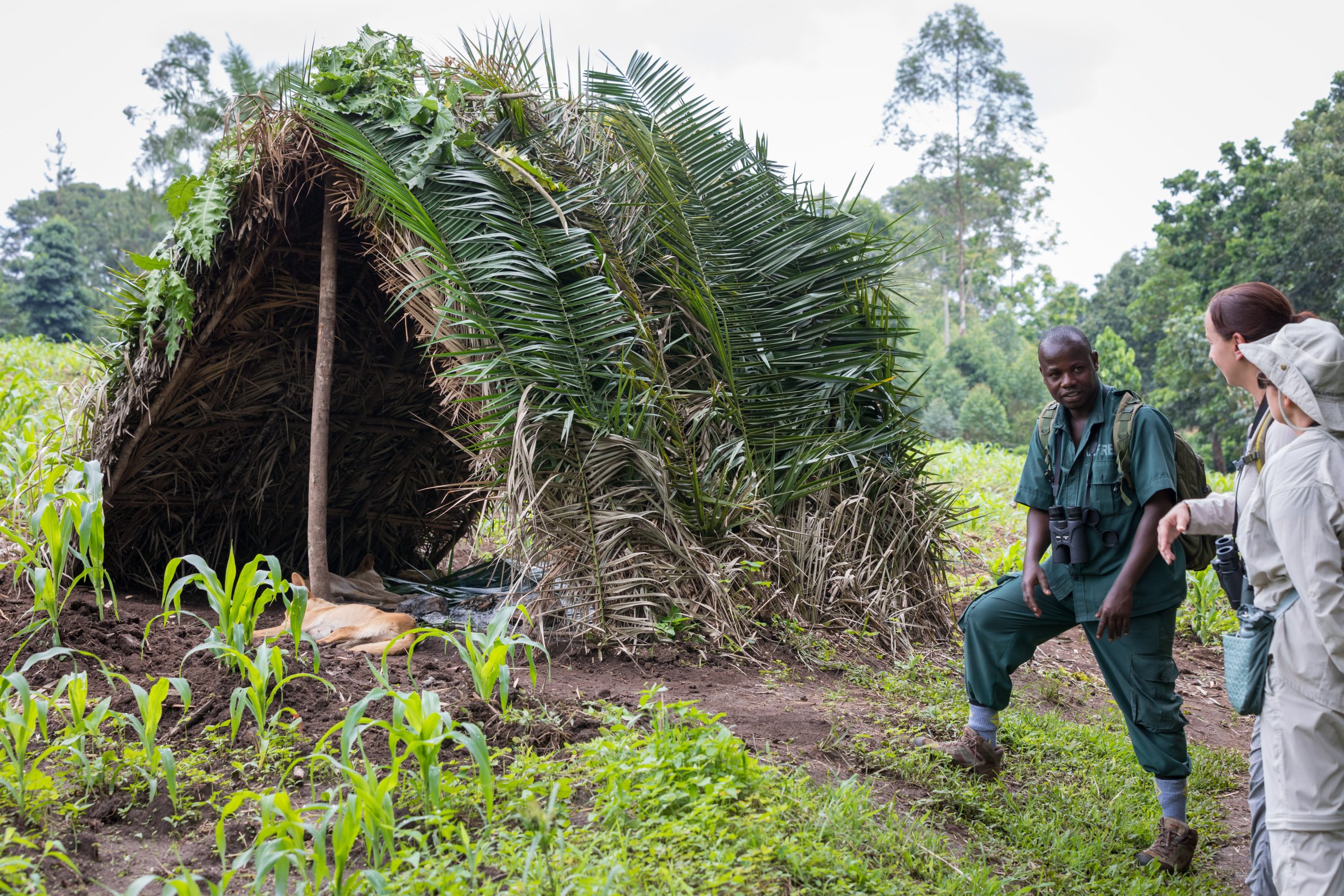 Day 4: Day 4: Transfer to Kibale - Scenic Landscapes & Cultural Experience