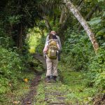 2026 Insider Planning Guide: Unveiling the Depths of Chimpanzee Habituation in Uganda