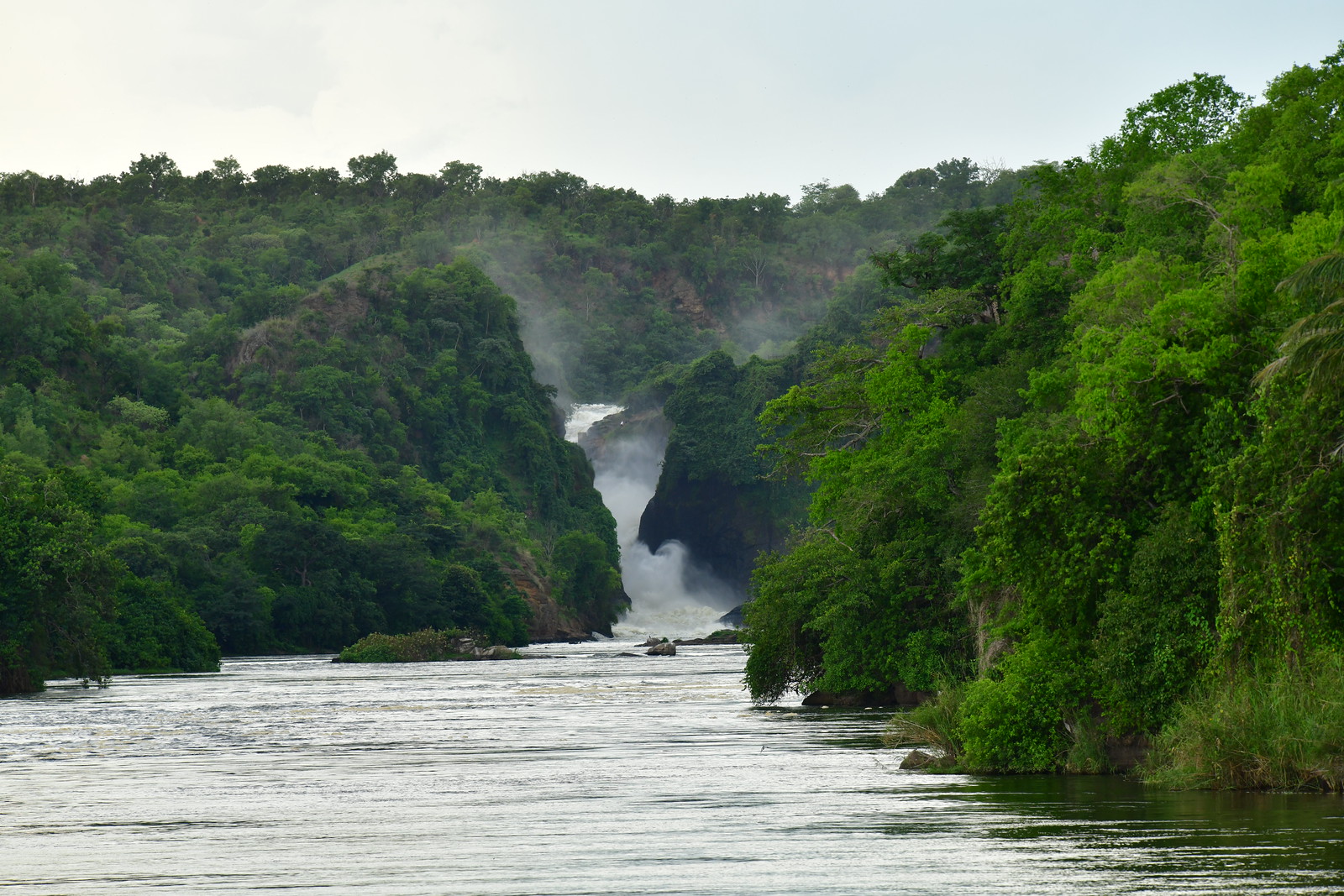 Day 2: Day 2: Journey to Murchison Falls - Rhino Tracking & Waterfall Views