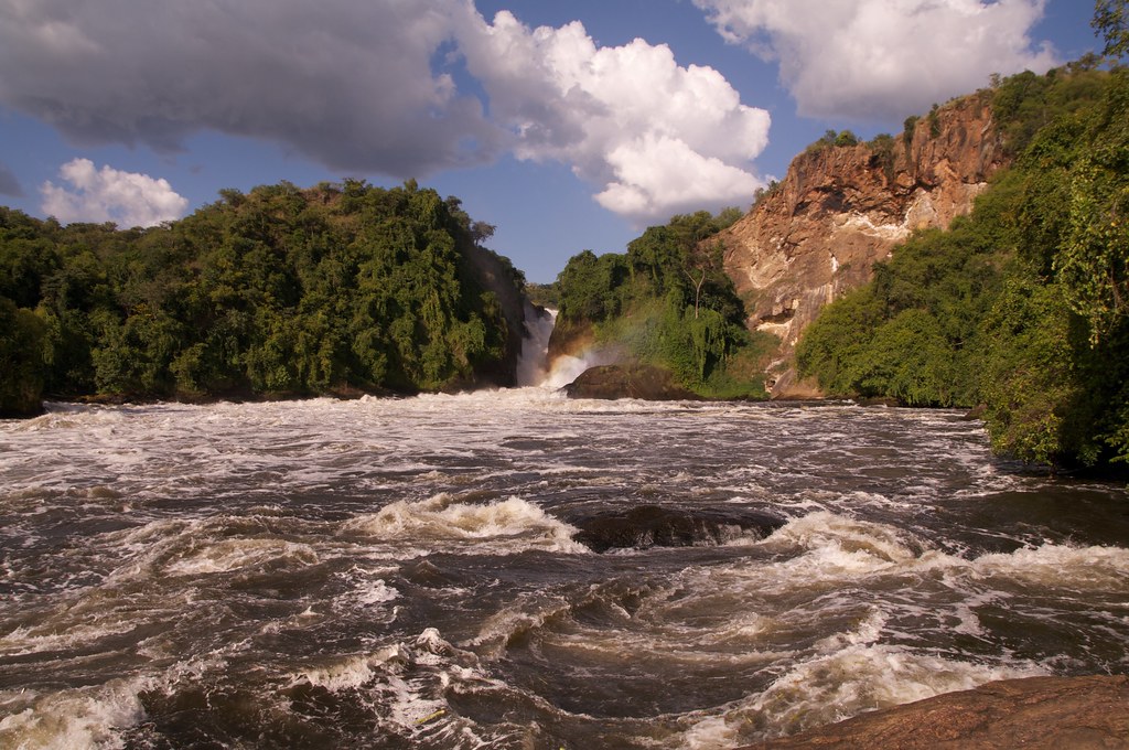 Day 2: Day 2: Transfer to Murchison Falls - Rhino Tracking & Waterfall Experience