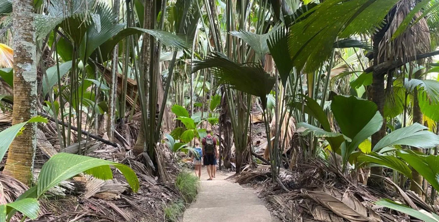 Vallée de Mai Reserve