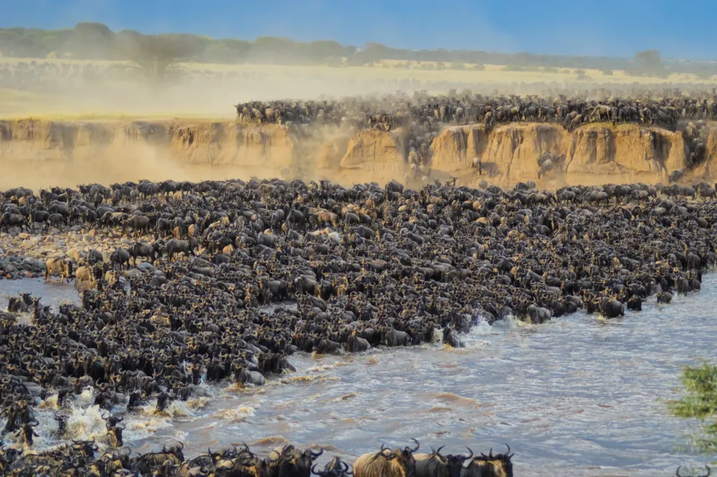 Serengeti National Park