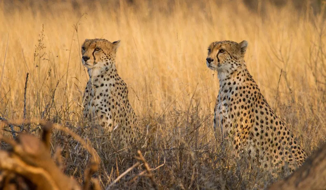 Amboseli National Park