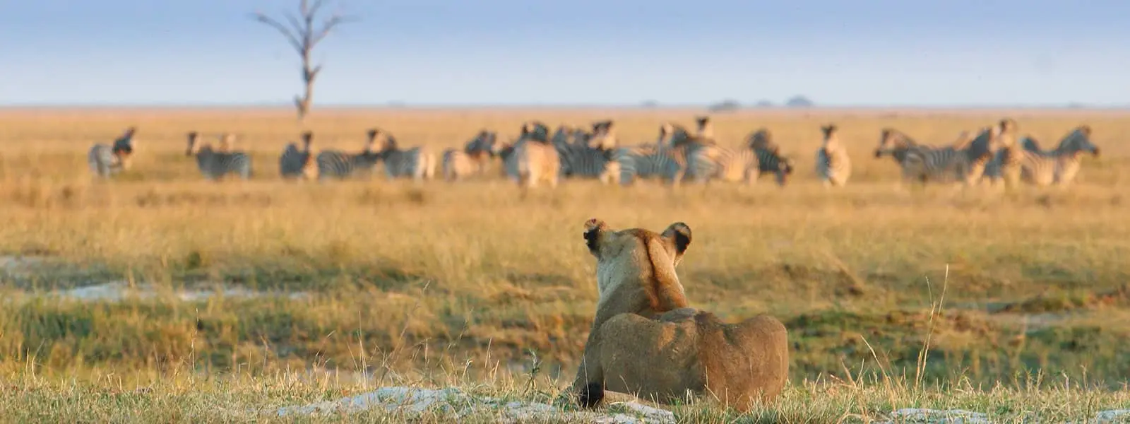 Chobe National Park