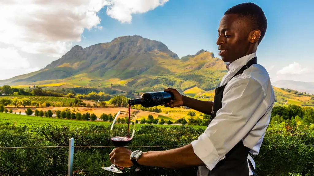 Cape Winelands