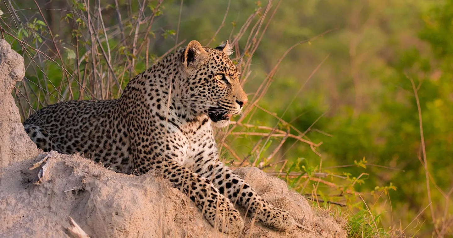 Kruger National Park