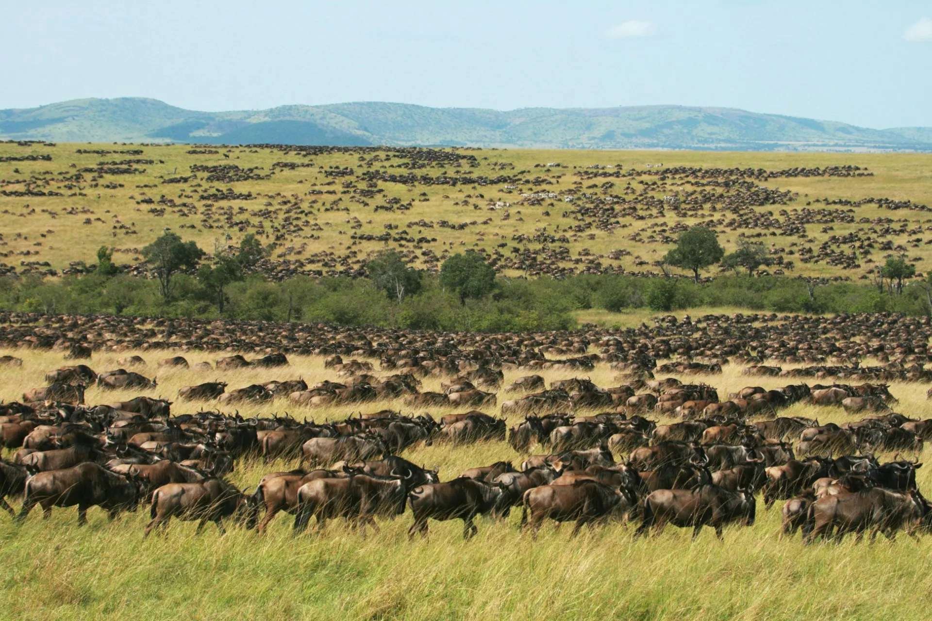 Maasai Mara National Reserve