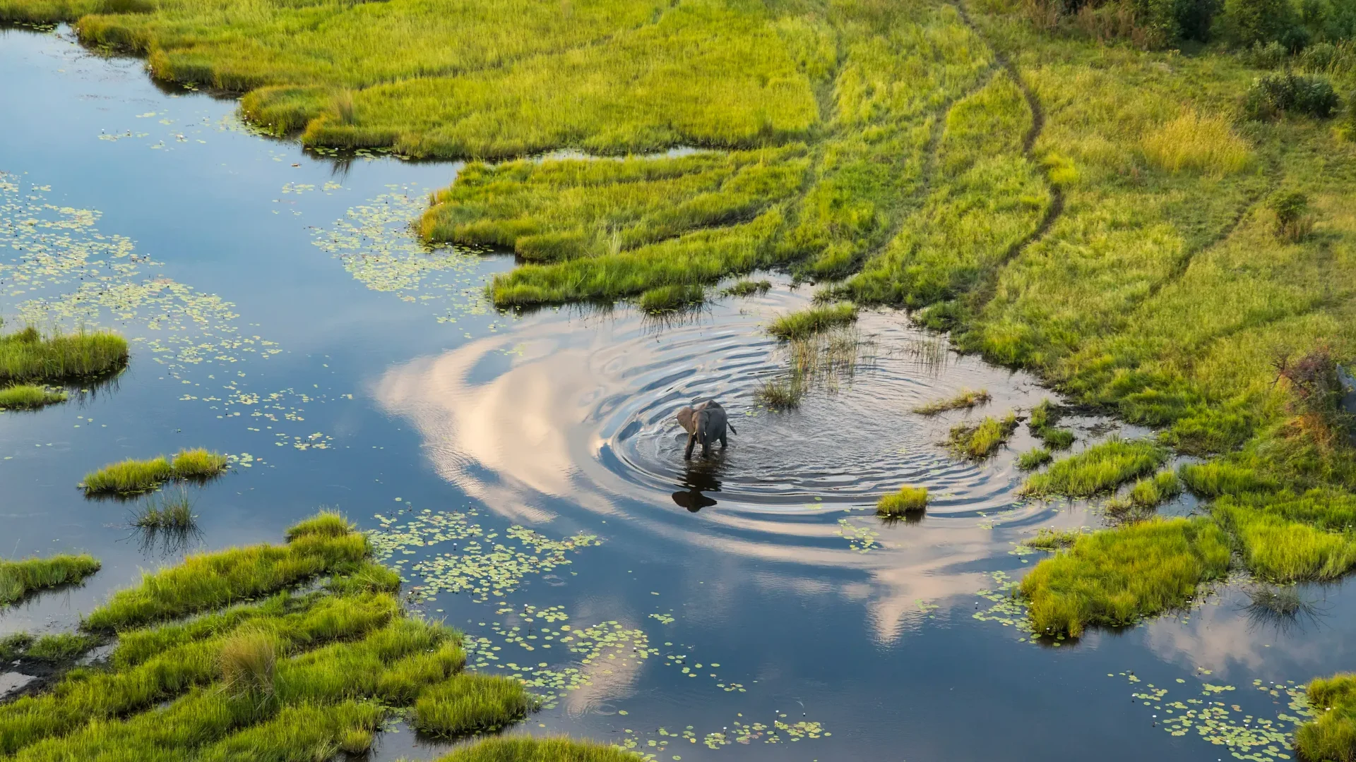 Okavango Delta