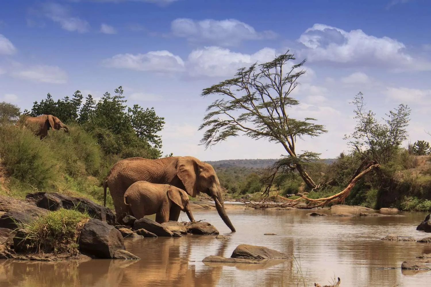 Samburu National Reserve