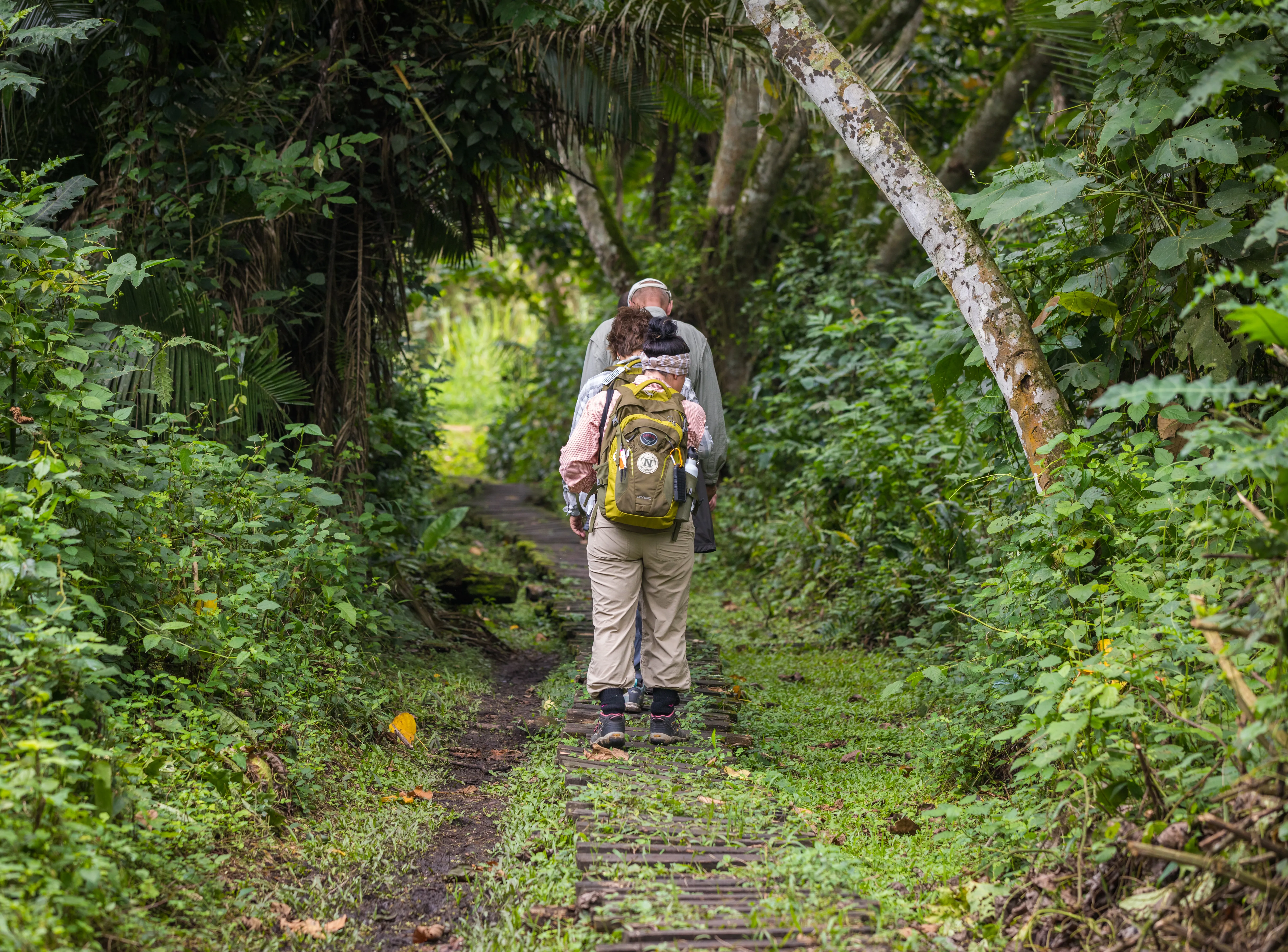 Kibale National Park