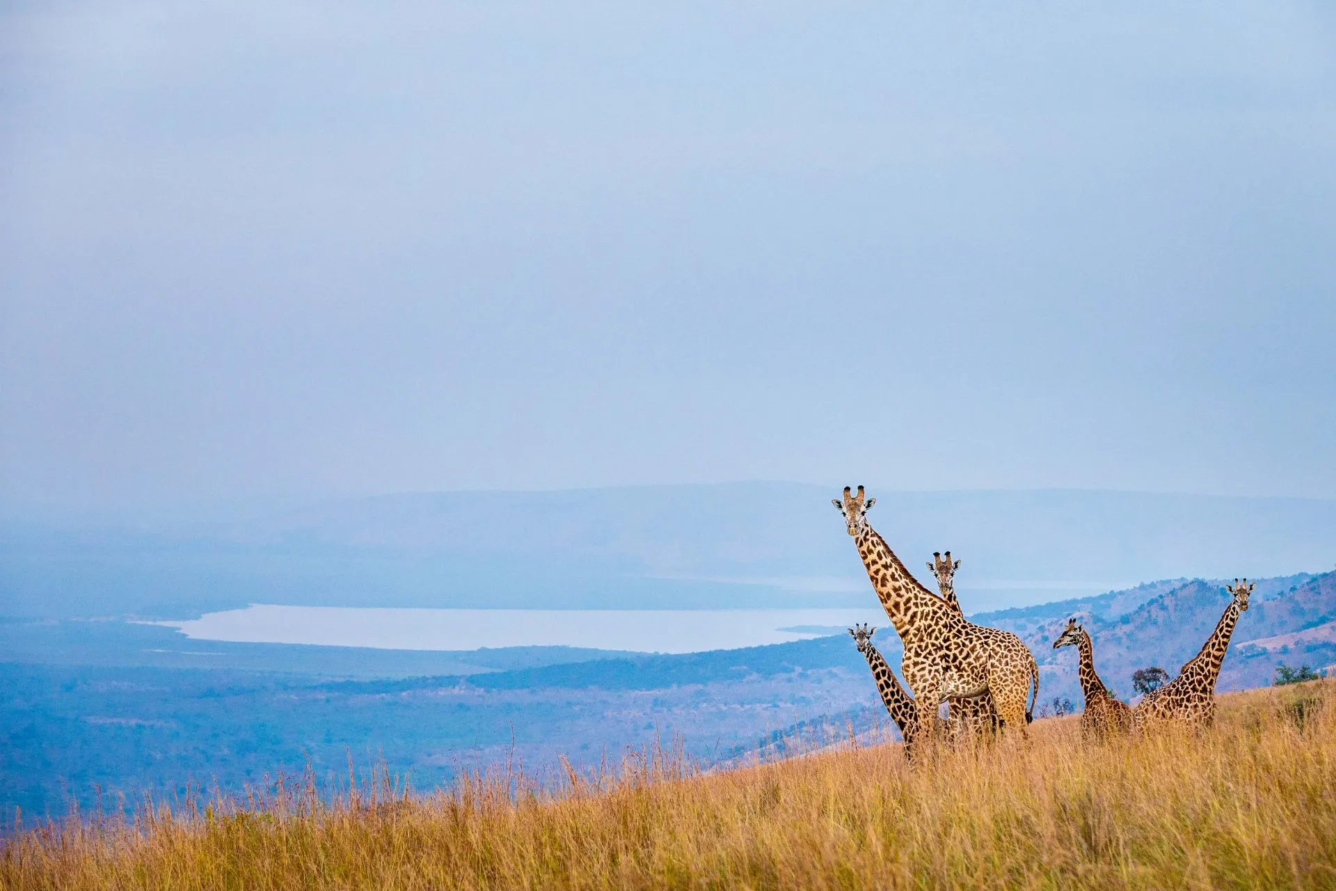 Akagera National Park