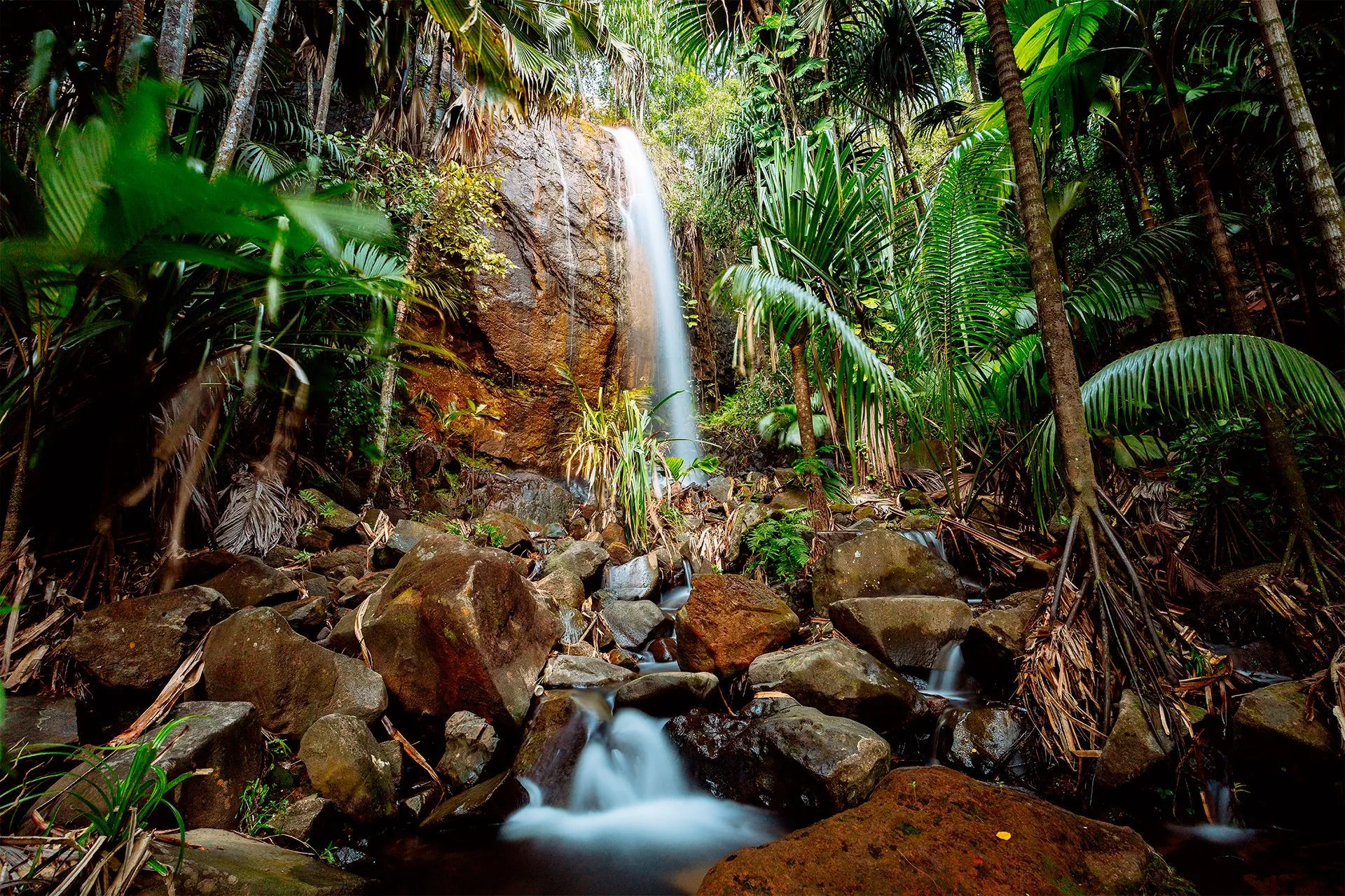 Vallée de Mai Reserve