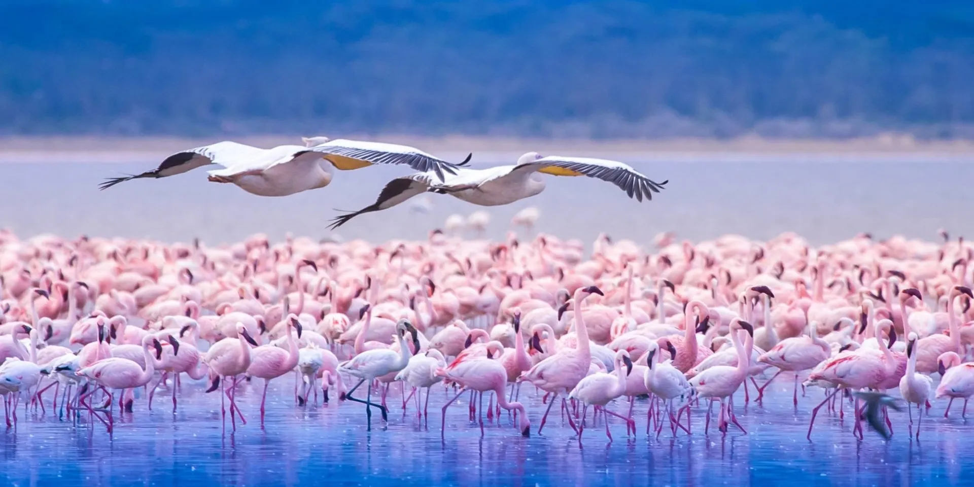 Lake Nakuru National Park