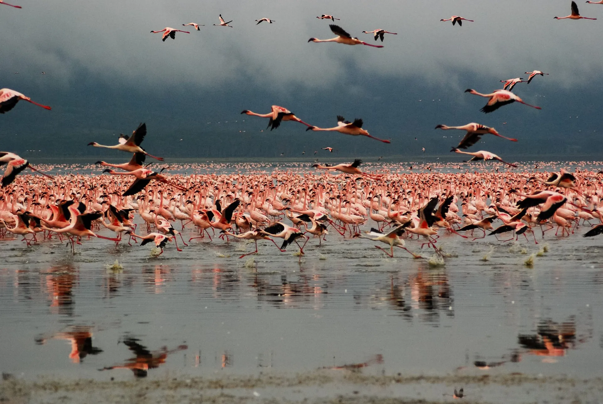 Lake Manyara National Park