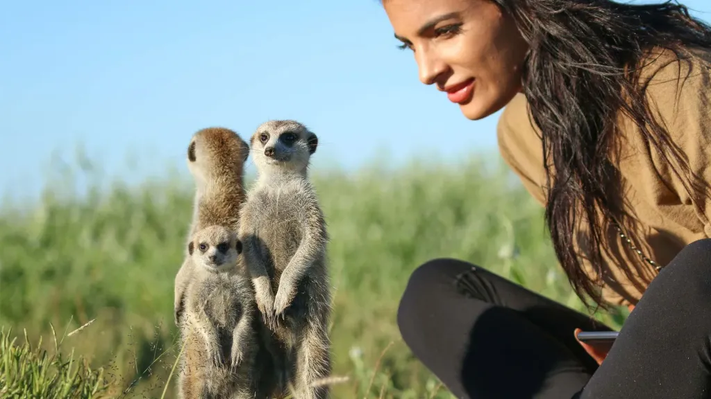 Makgadikgadi Meerkat Experience