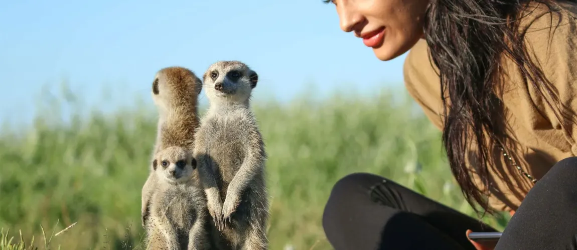 Makgadikgadi Meerkat Experience