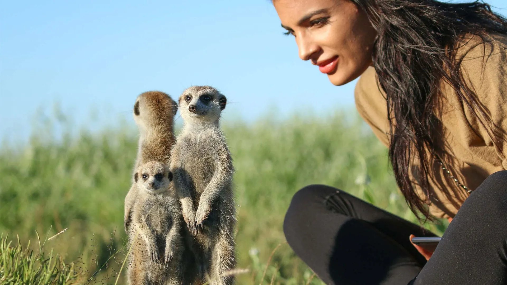 Makgadikgadi Meerkat Experience