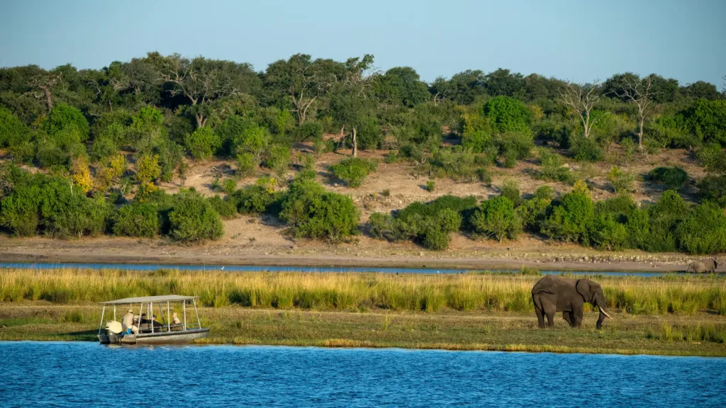 Chobe River Elephant Cruise