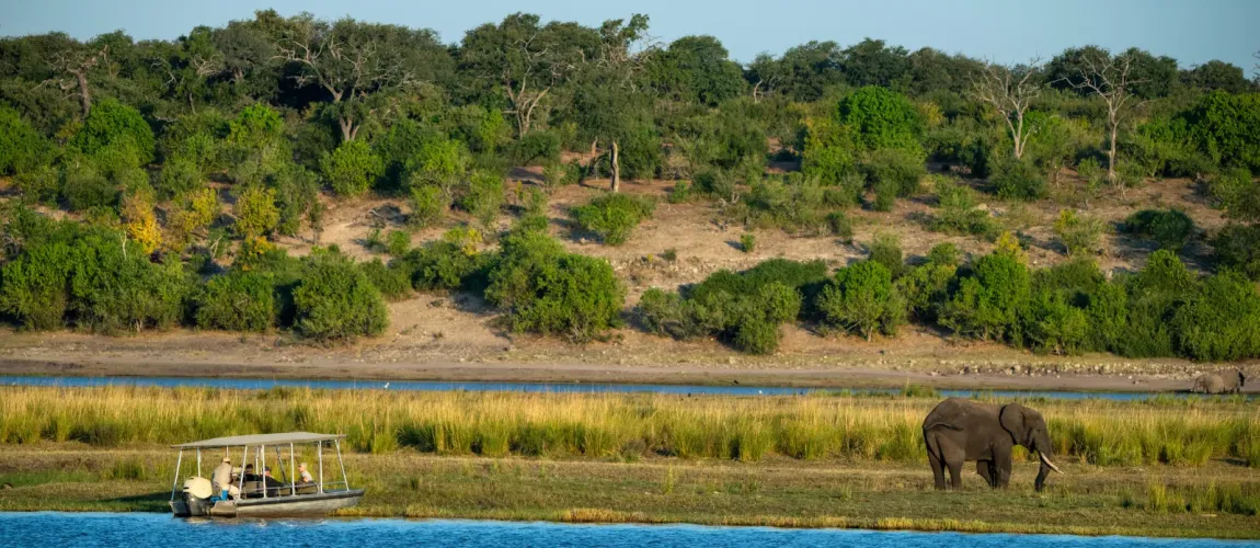 Chobe River Elephant Cruise