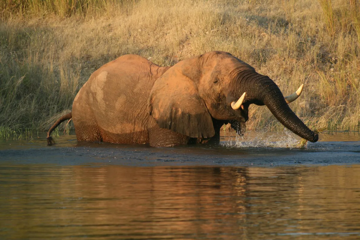 Lake Kariba