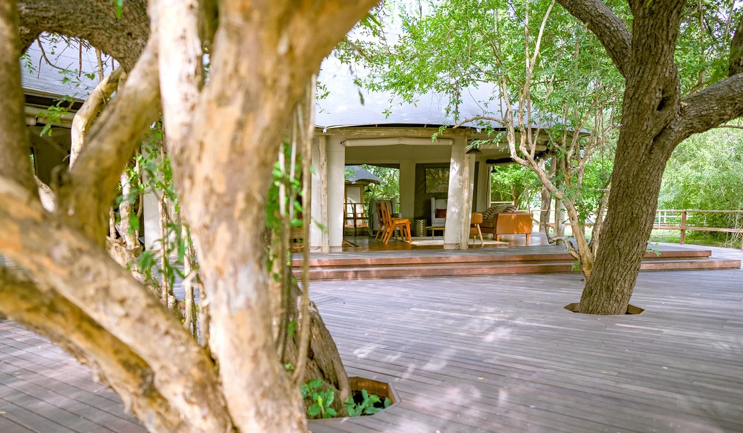 Gorongosa Safari Camp photo 1