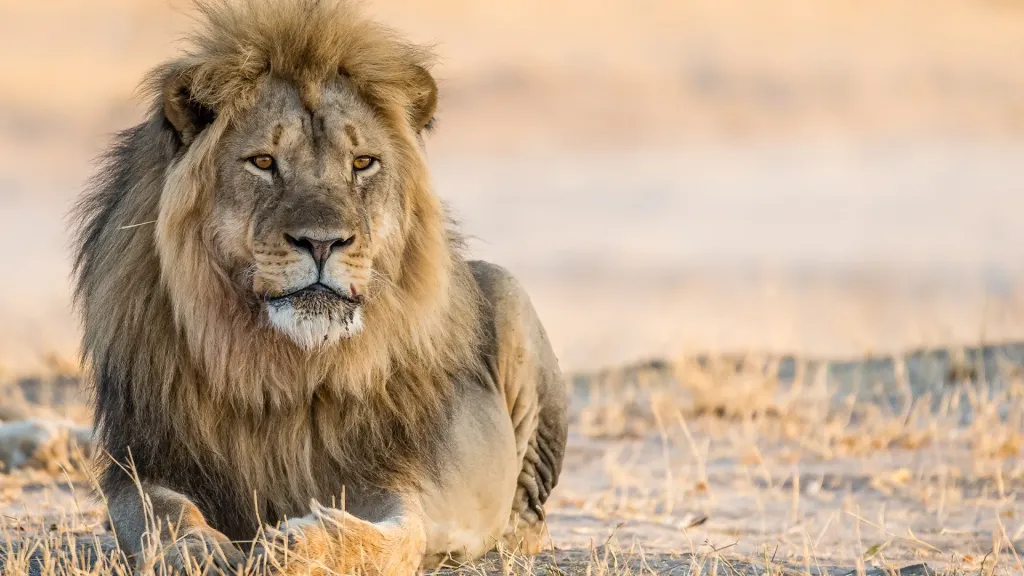 Hwange National Park