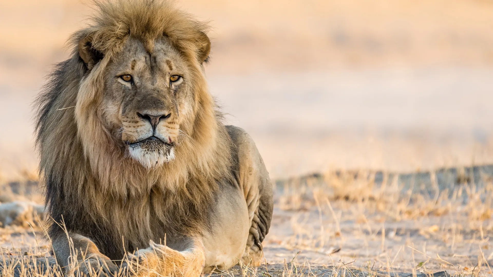 Hwange National Park