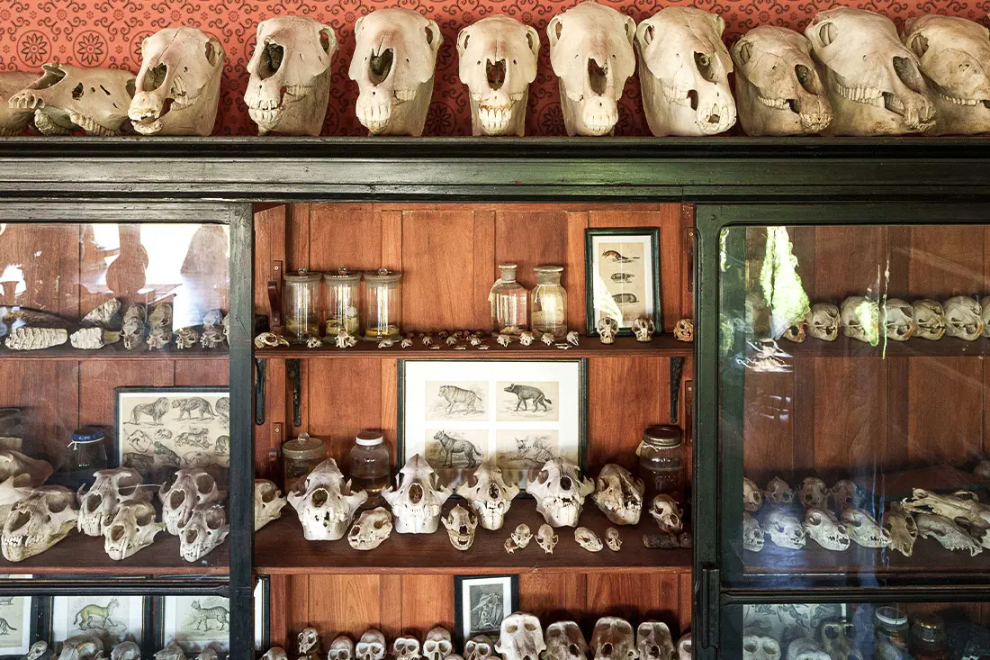 Lodge Gallery Image
