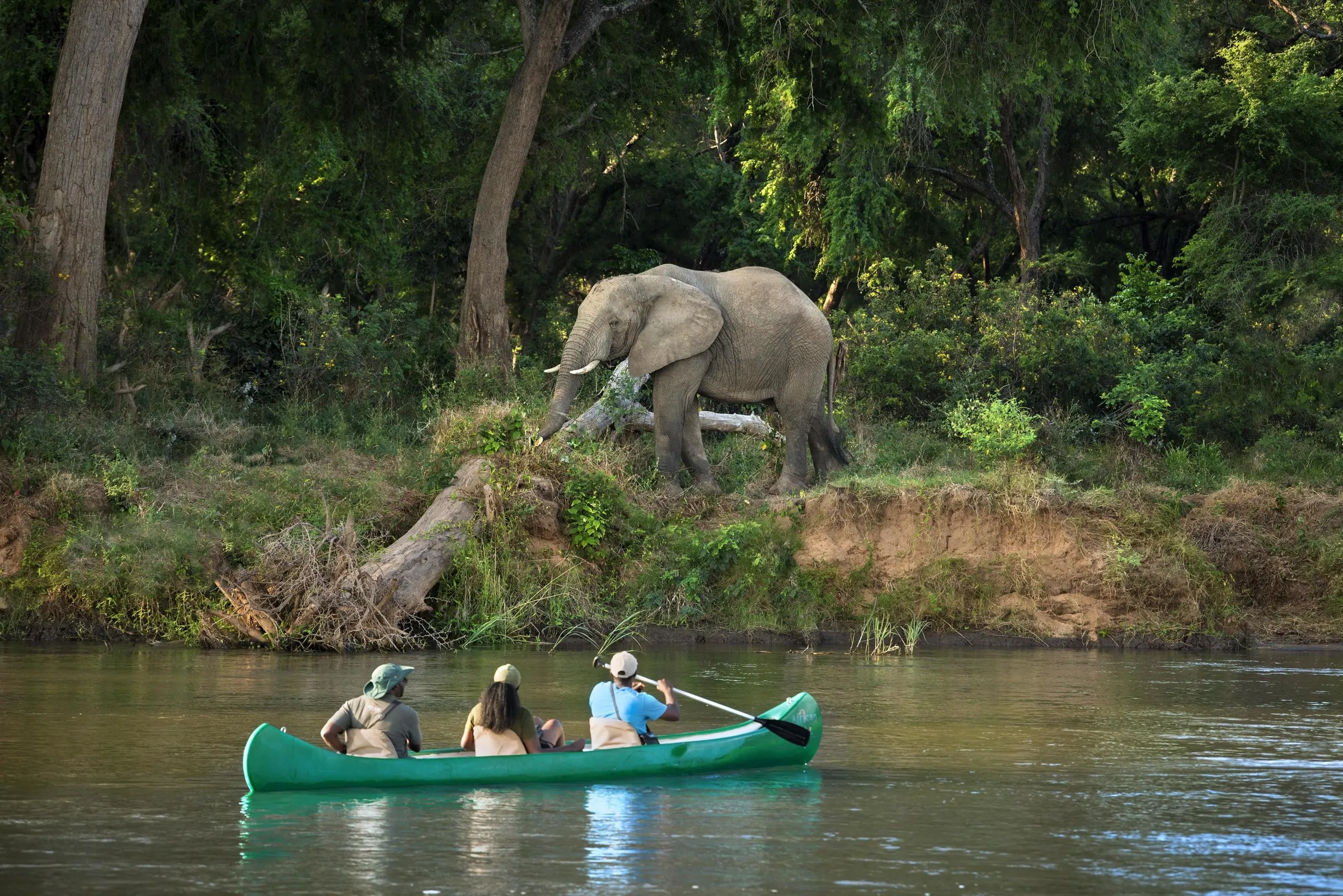 Lower Zambezi National Park