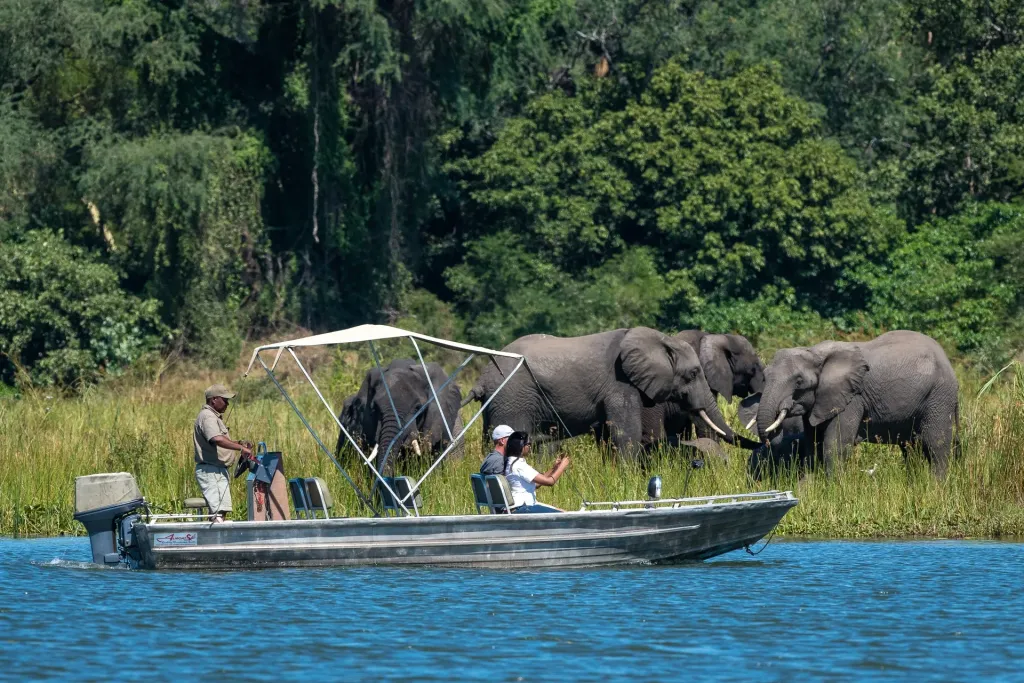 Liwonde Wildlife & Shire River