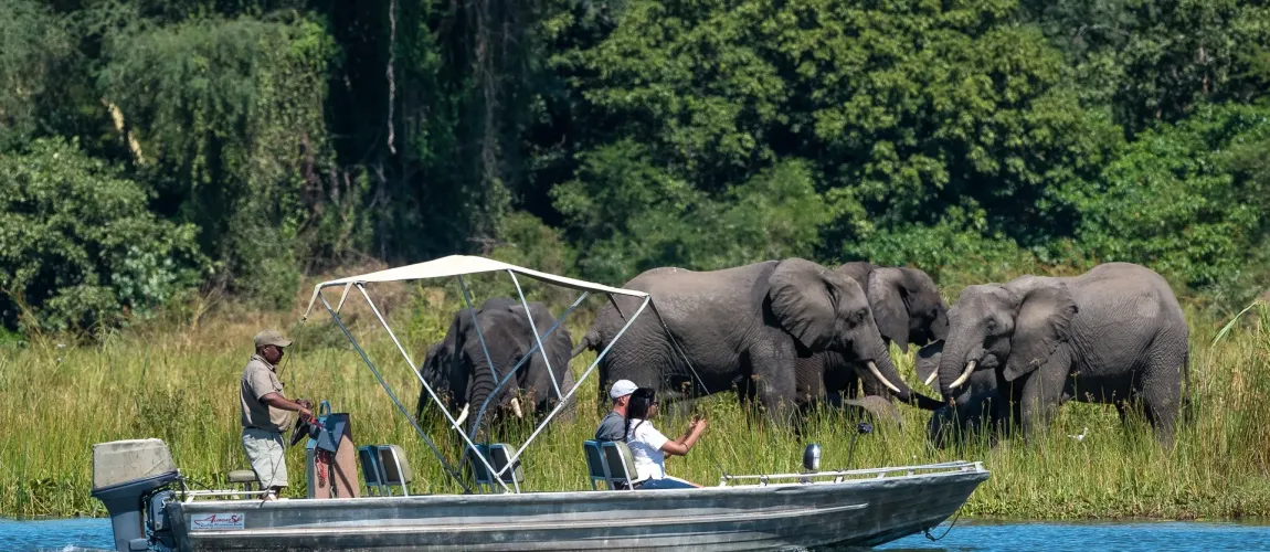 Liwonde Wildlife & Shire River