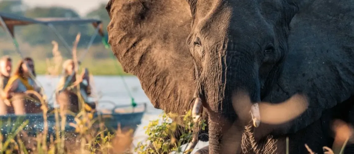 Ultimate Malawi Explorer
