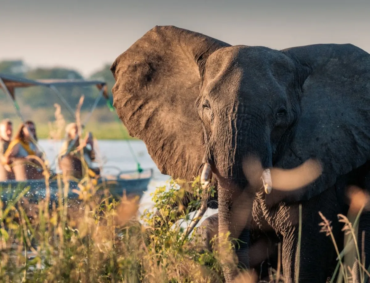 Ultimate Malawi Explorer