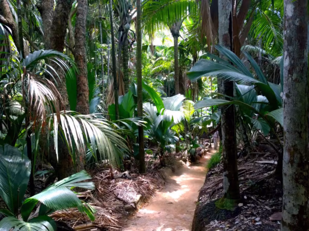 Praslin & Vallée de Mai