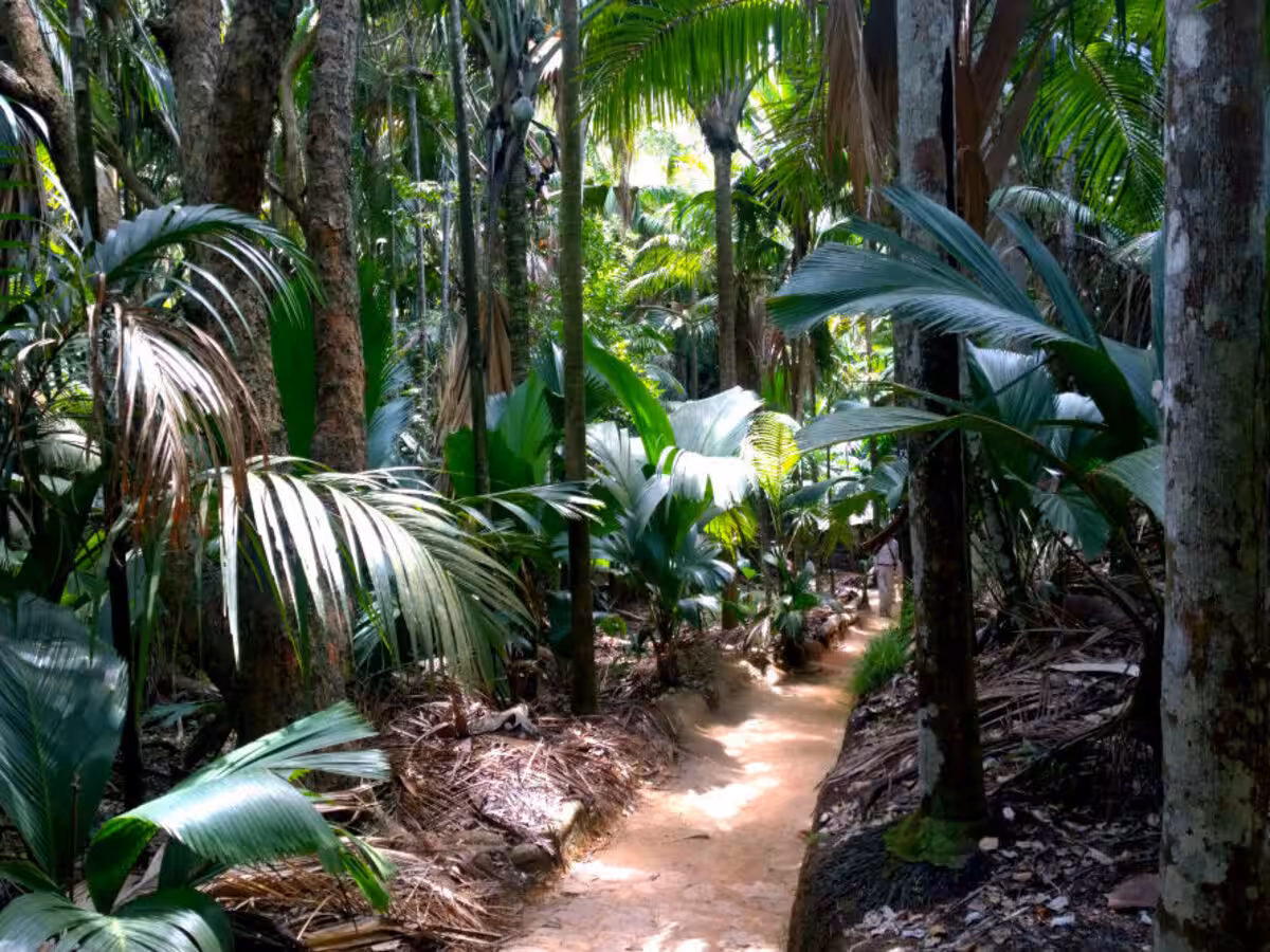Praslin & Vallée de Mai