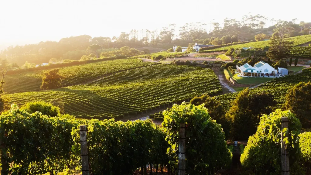 Cape Town & Winelands Retreat