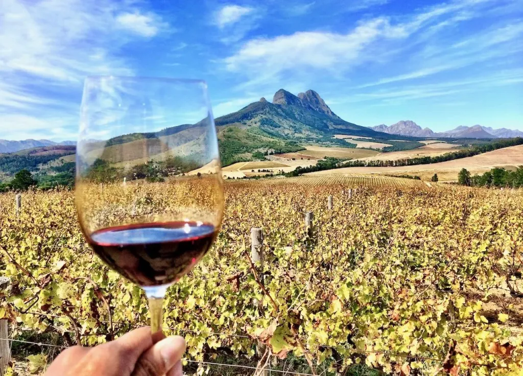 Scenic Garden Route Drive