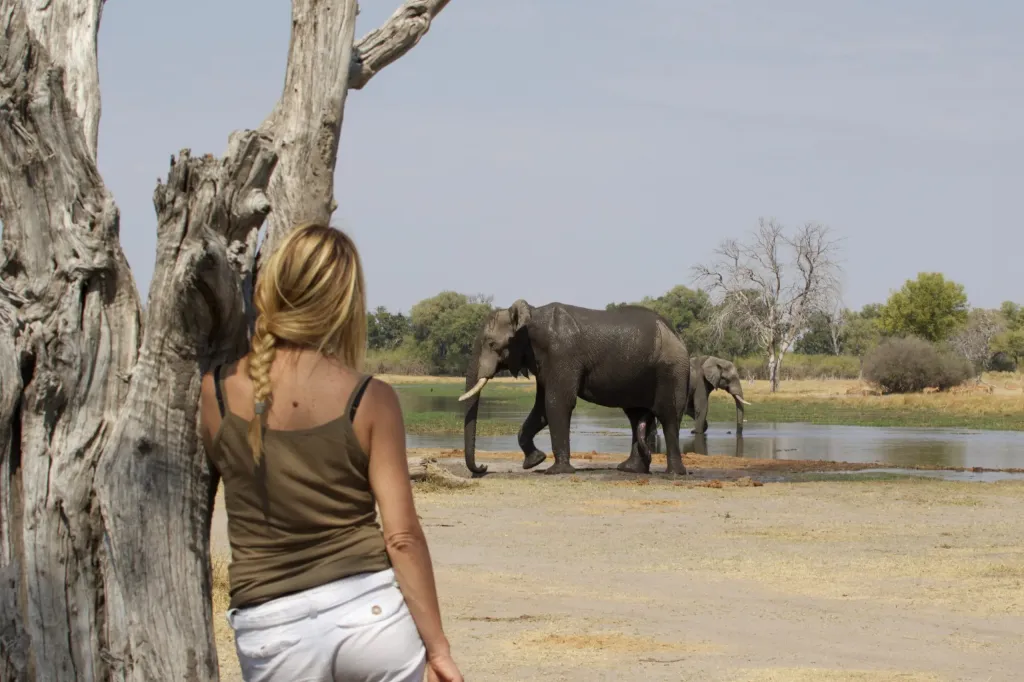 South Luangwa National Park