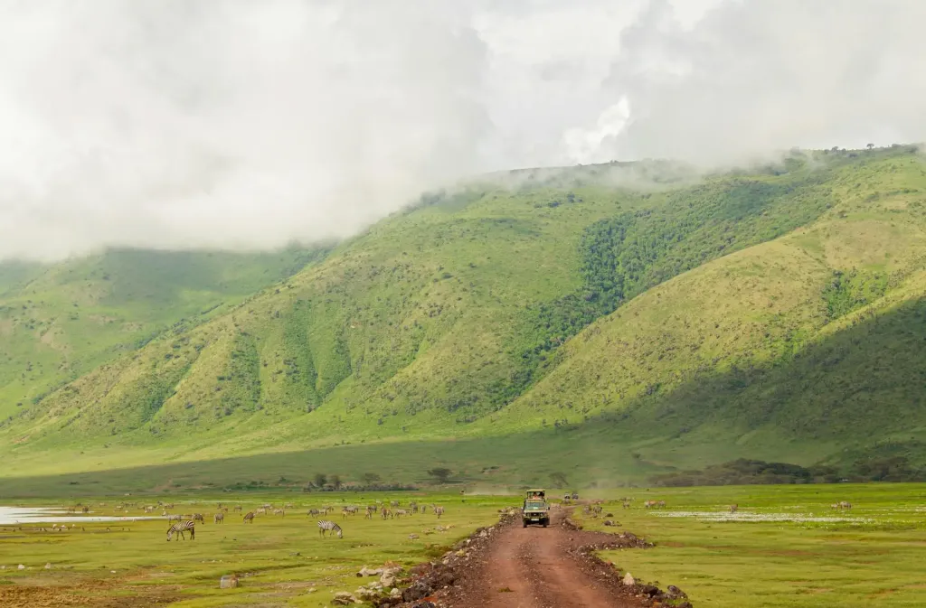 Ngorongoro Crater & Manyara Luxury