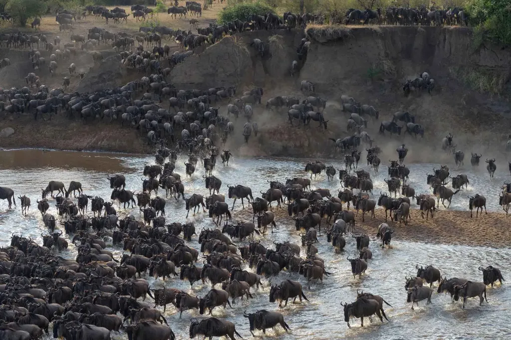 Serengeti Safari & Zanzibar