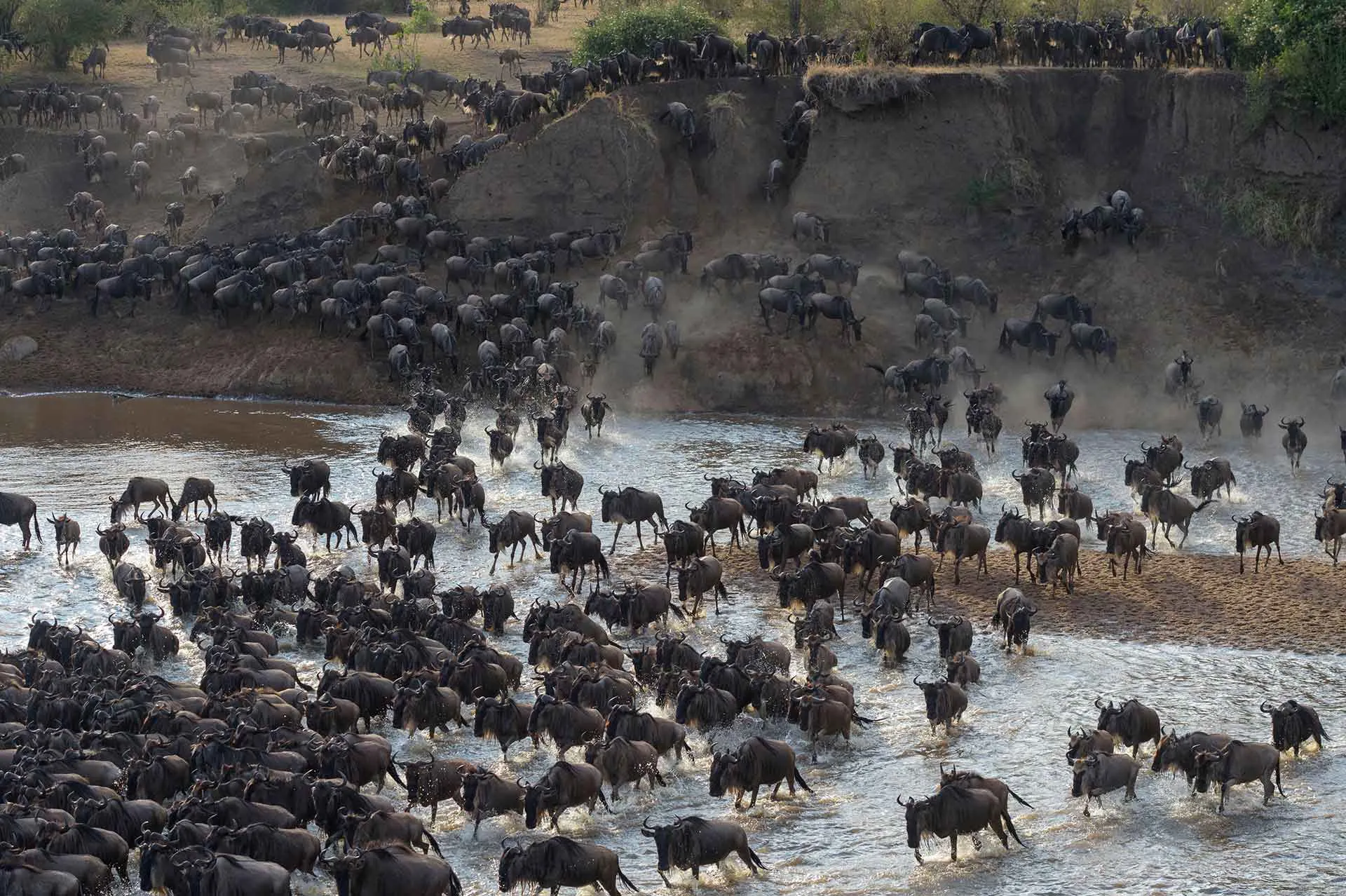 Serengeti Safari & Zanzibar
