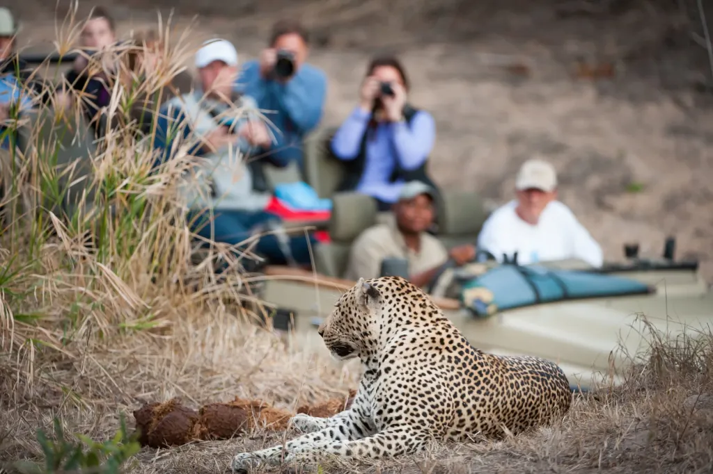Tanzania Classic North