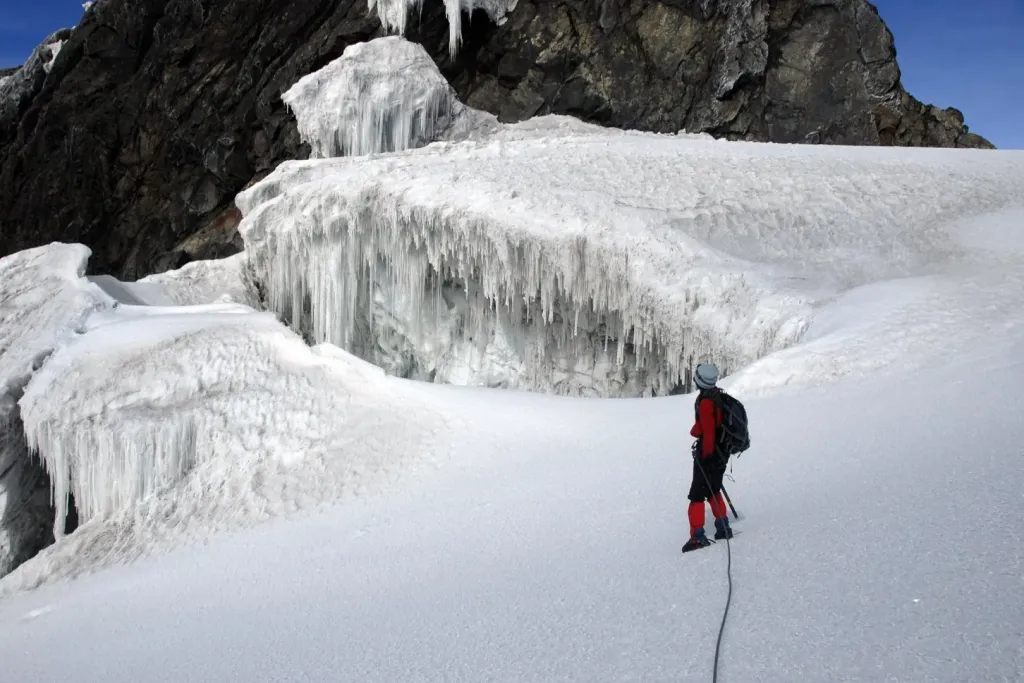 Rwenzori Peaks & Primates