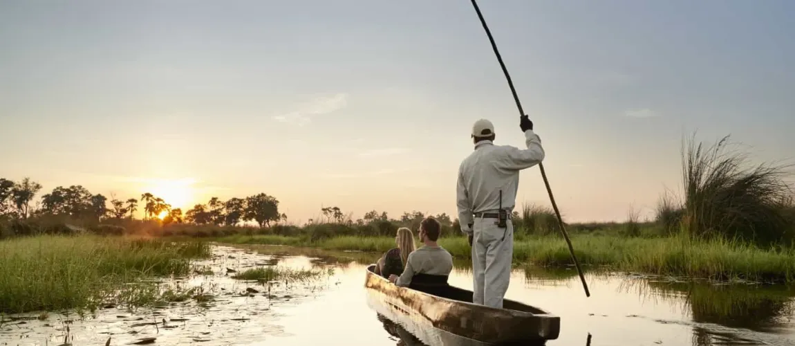 Ultimate Botswana Safaris Guide (2026): Packages, Prices, National Parks, Okavango Delta & Big Five