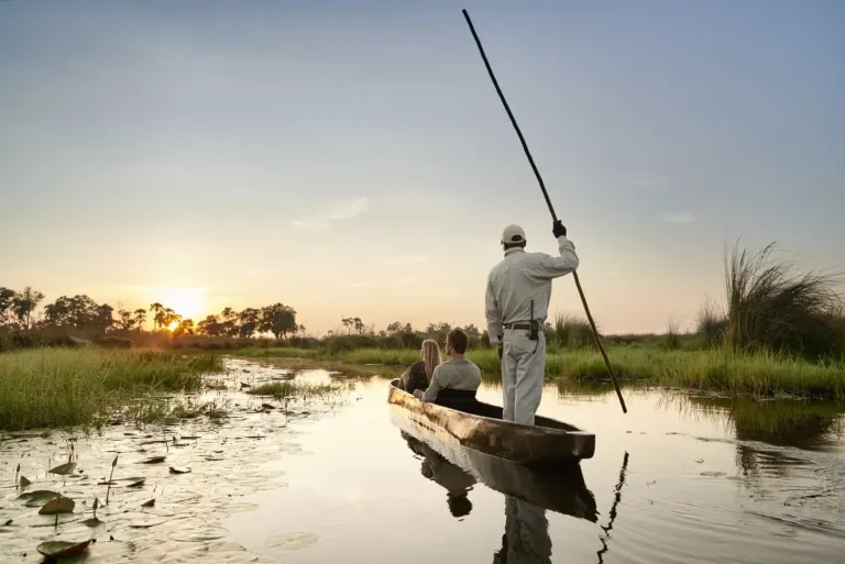 Ultimate Botswana Safaris Guide (2026): Packages, Prices, National Parks, Okavango Delta & Big Five