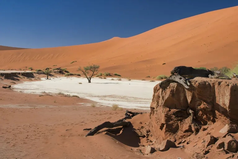 Ultimate Namibia Safaris Guide (2026): Packages, Prices, National Parks, Wildlife & Desert Adventures